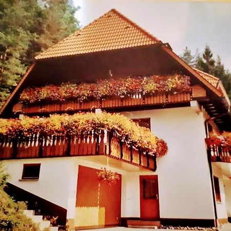 Ferienwohungen Im Kuchersbach Hornberg Exterior photo