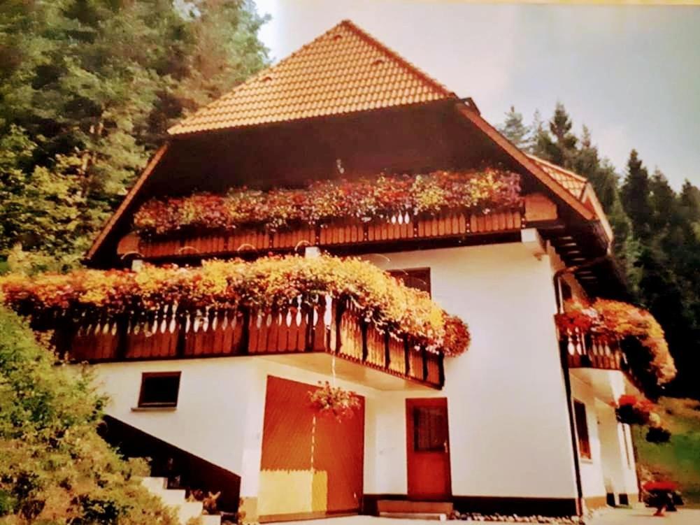 Ferienwohungen Im Kuchersbach Hornberg Exterior photo